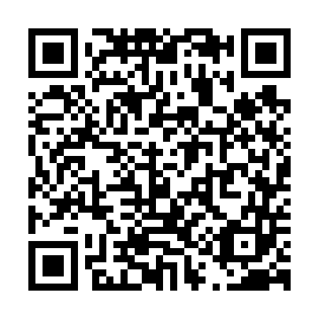 QR code for T17643