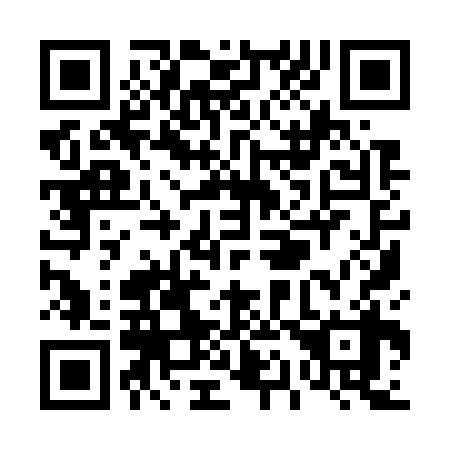QR code for T19738