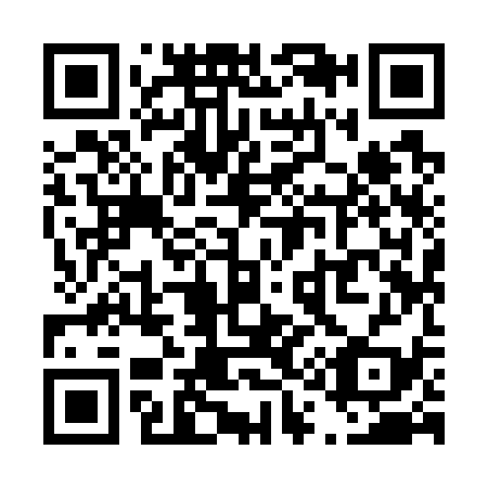 QR code for T19739