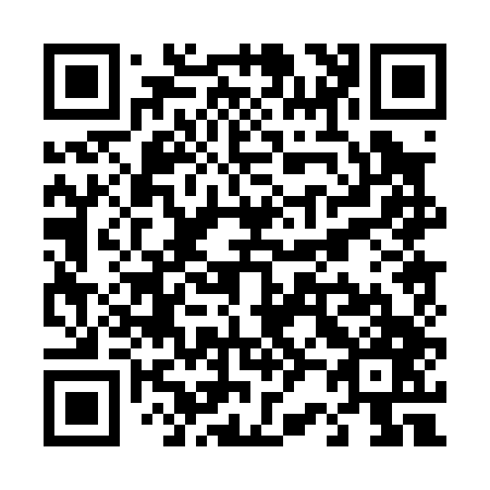 QR code for T20047