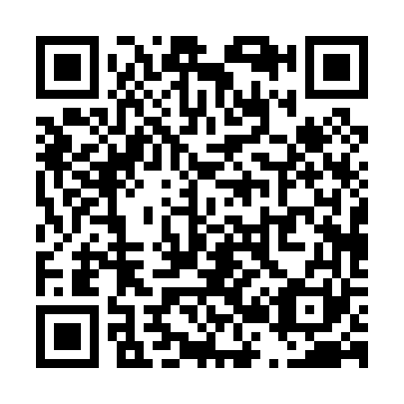 QR code for T20061