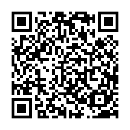 QR code for T20065