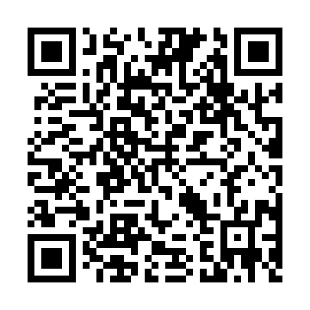 QR code for T20197