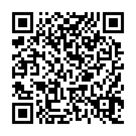 QR code for T20306
