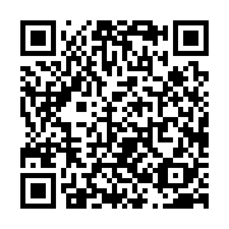 QR code for T20328
