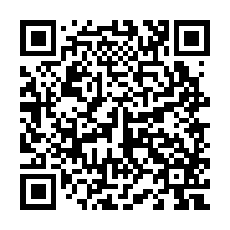 QR code for T20386