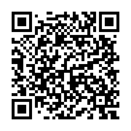 QR code for T20517
