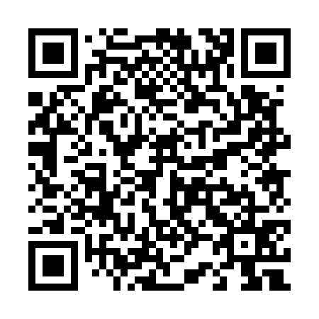 QR code for T20575