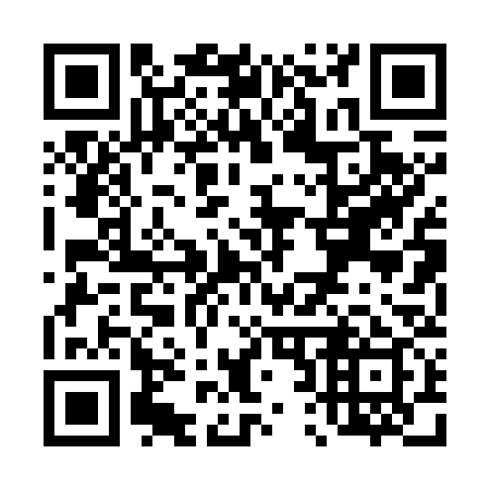 QR code for T20739