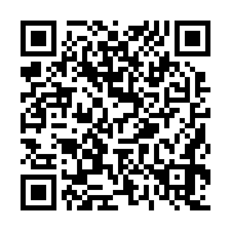 QR code for T21272