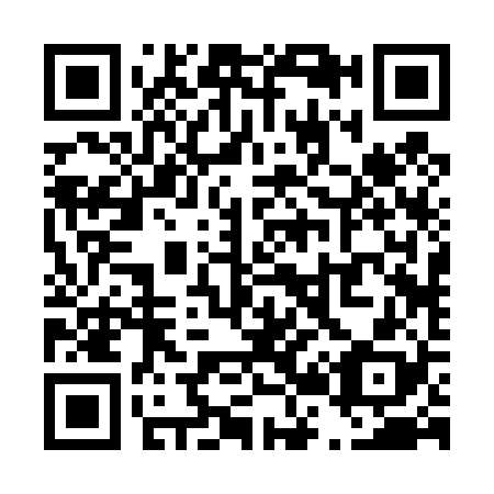 QR code for T22428
