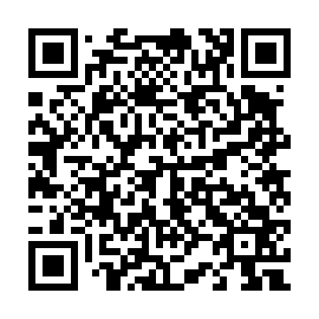 QR code for T22463