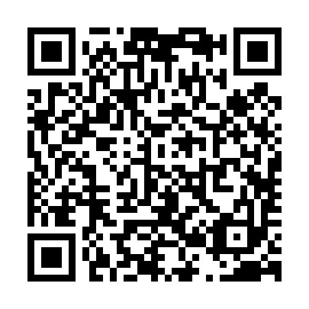 QR code for T22493