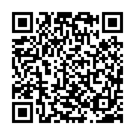 QR code for T28213