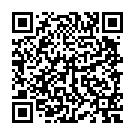 QR code for T28490