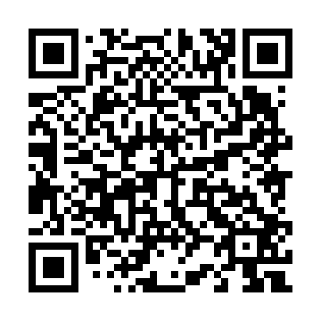 QR code for T28602