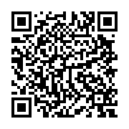 QR code for T29016