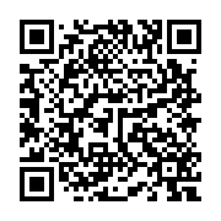 QR code for T29156