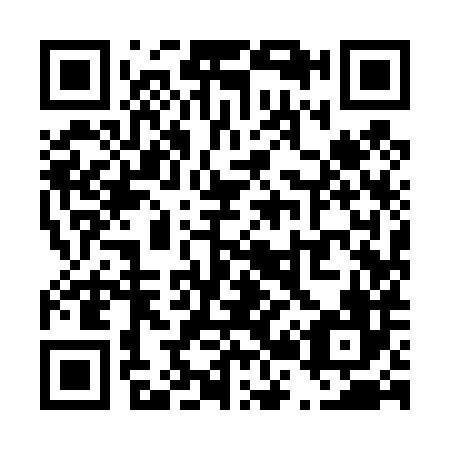 QR code for T29486