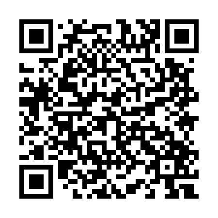 QR code for T29547