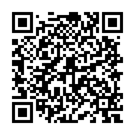 QR code for T29593
