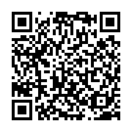 QR code for T29711