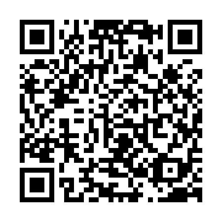QR code for T29919