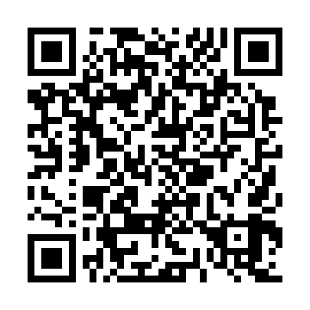 QR code for T30349