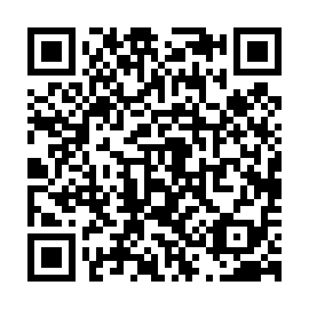 QR code for T30419