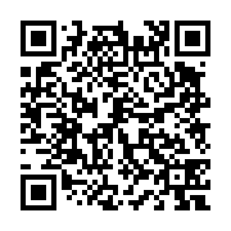 QR code for T30438