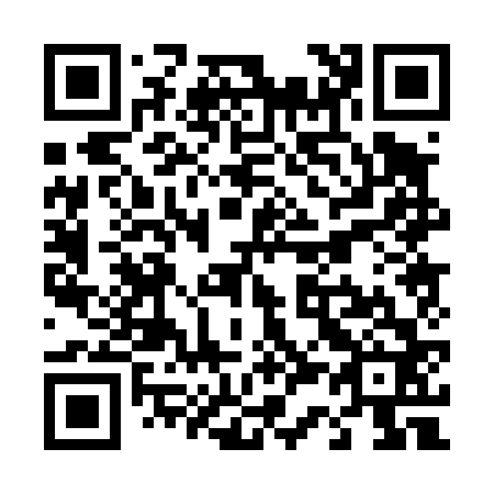 QR code for T30462