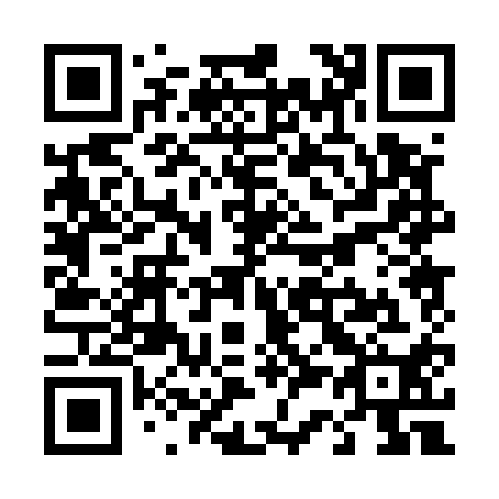 QR code for T30510