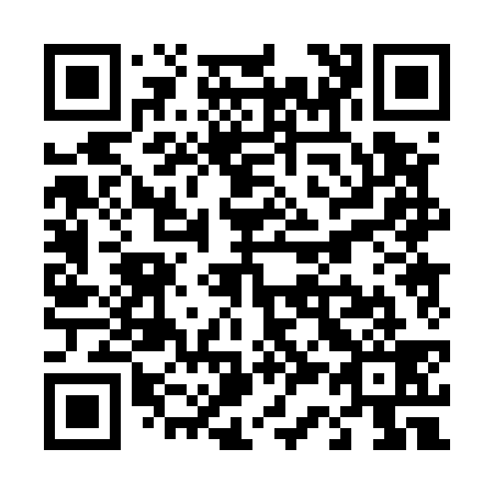 QR code for T30539