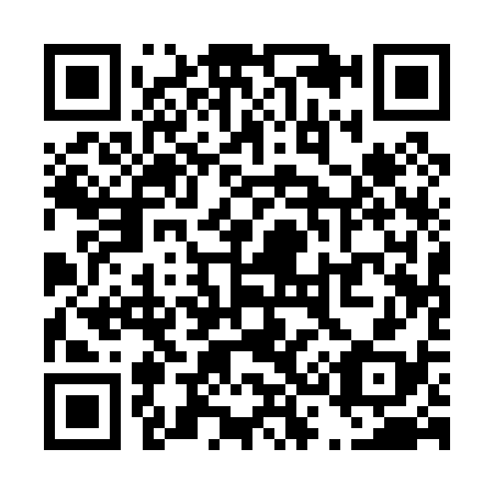 QR code for T31038