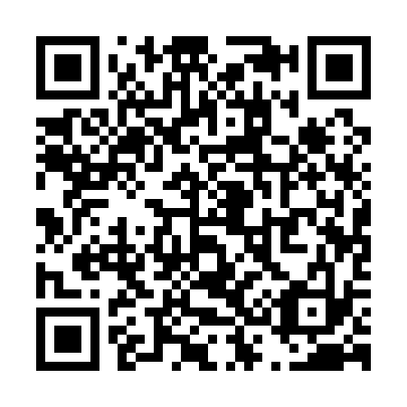 QR code for T31133