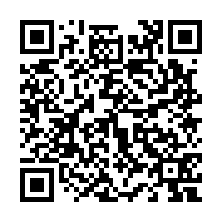 QR code for T31171