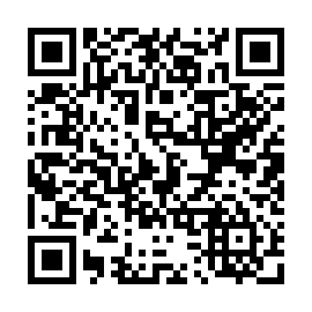 QR code for T31315
