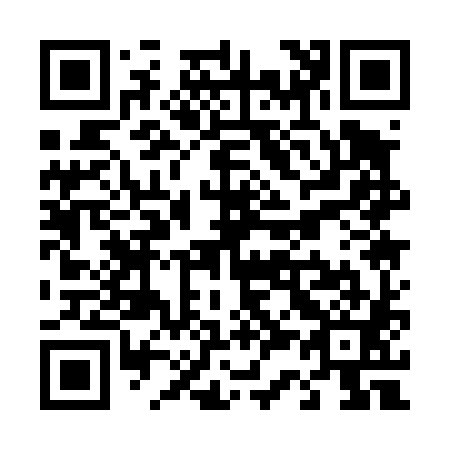 QR code for T31481