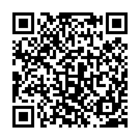 QR code for T31494