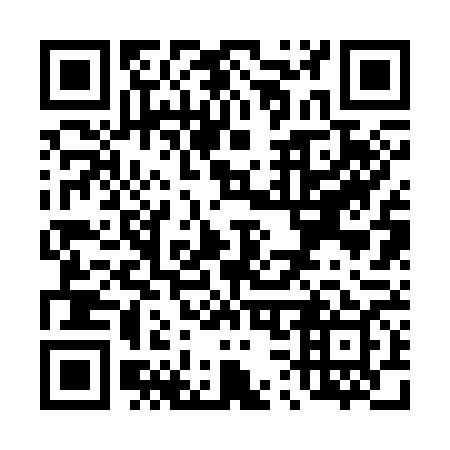 QR code for T32369