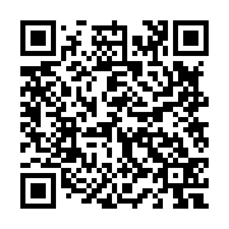 QR code for T32833
