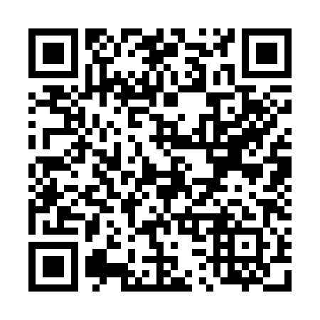 QR code for T33381