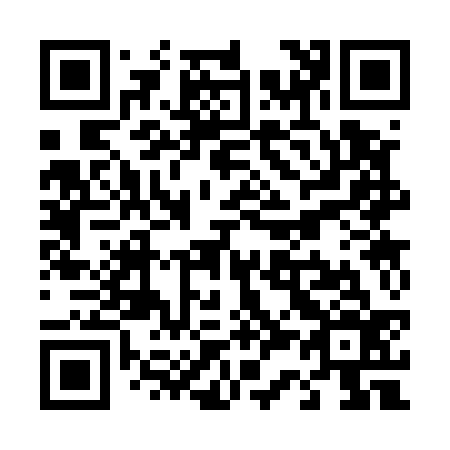 QR code for T33536