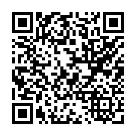 QR code for T33821