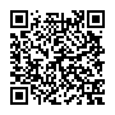 QR code for T38030