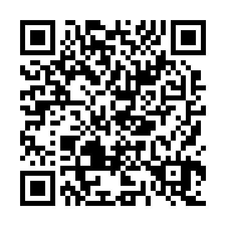QR code for T38224