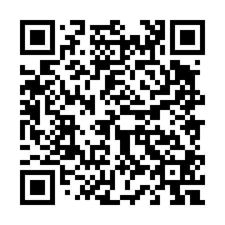 QR code for T38400