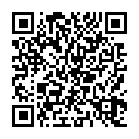 QR code for T38728