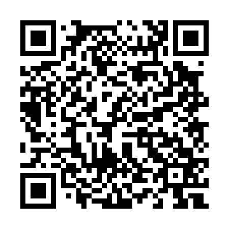 QR code for T40063