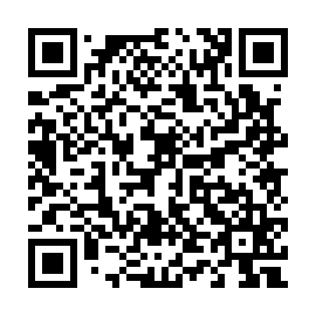 QR code for T40165